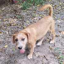 Thumbnail photo of Shayano #4