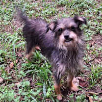 Thumbnail photo of Kizik #1