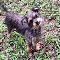 Thumbnail photo of Kizik #2