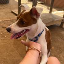 Thumbnail photo of Wyatt #2