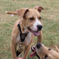 Thumbnail photo of Brennan #1