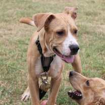 Thumbnail photo of Brennan #4