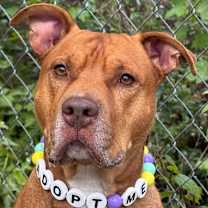 Thumbnail photo of Malibu #1