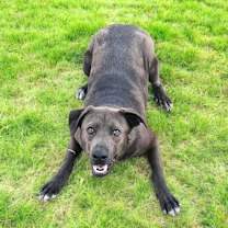 Thumbnail photo of Donovan #4