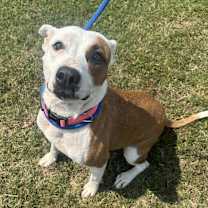 Thumbnail photo of Winnie #3