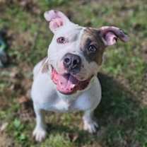 Thumbnail photo of Ranger #1