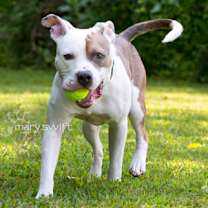 Thumbnail photo of Ranger #2