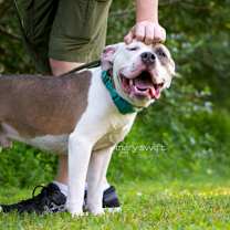 Thumbnail photo of Ranger #3