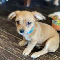 Thumbnail photo of Hayes #2