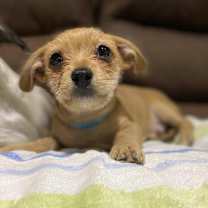 Thumbnail photo of Hayes #3