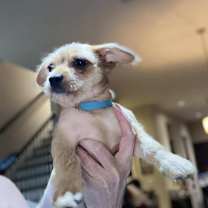 Thumbnail photo of Hayes #4