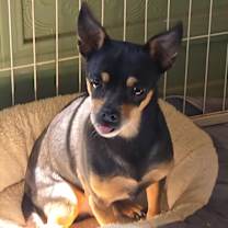 Thumbnail photo of Delgado #1