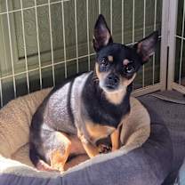 Thumbnail photo of Delgado #2