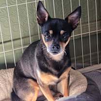 Thumbnail photo of Delgado #3