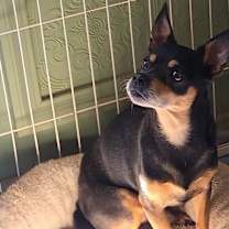 Thumbnail photo of Delgado #4