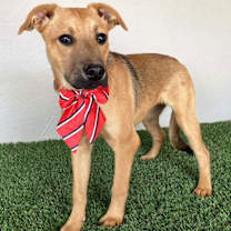 Thumbnail photo of Marta #2