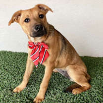 Thumbnail photo of Marta #3