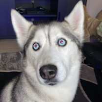 Thumbnail photo of Sophie #1