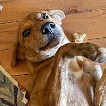 Thumbnail photo of Eros #3