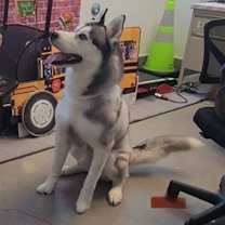 Thumbnail photo of Tex #2