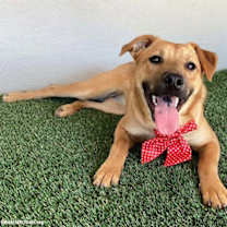 Thumbnail photo of Marta #4