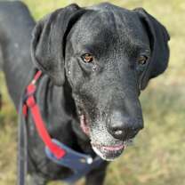 Thumbnail photo of Maverick #2