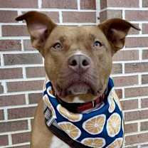 Thumbnail photo of GUNNER #1