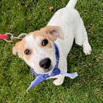 Thumbnail photo of R - RIVER #3