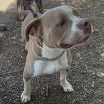 Thumbnail photo of VALERIE #4