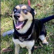 Thumbnail photo of Cleopatra #3