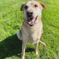 Thumbnail photo of Smokey #3