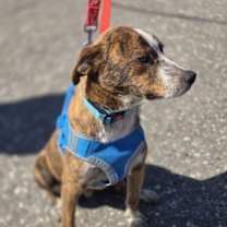 Thumbnail photo of Maverick #4