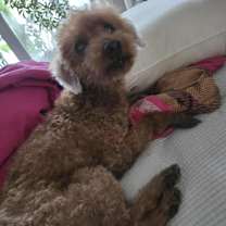 Thumbnail photo of Seven #2