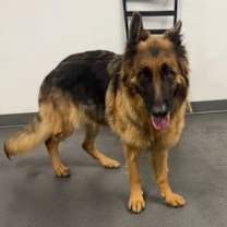 Thumbnail photo of Dakota #2