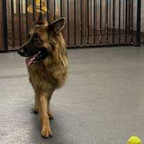 Thumbnail photo of Dakota #3