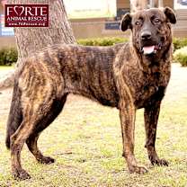 Thumbnail photo of Donna #4