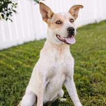 Thumbnail photo of Elsa #3