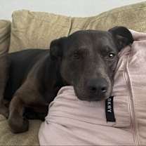 Thumbnail photo of Kima #1