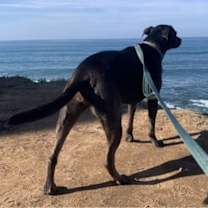 Thumbnail photo of Kima #2