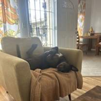 Thumbnail photo of Kima #3