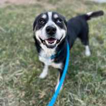 Thumbnail photo of Flynn #3