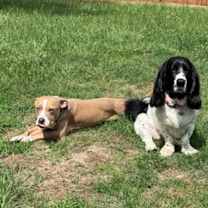 Thumbnail photo of Keno #2