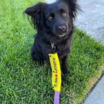 Thumbnail photo of Keenan #3