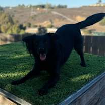 Thumbnail photo of Keenan #4