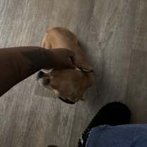 Thumbnail photo of Rico #1