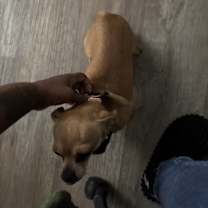 Thumbnail photo of Rico #2