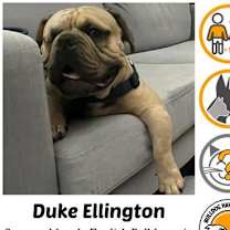 Thumbnail photo of Duke Ellington #1