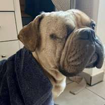 Thumbnail photo of Duke Ellington #2