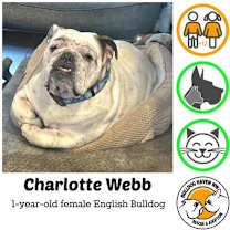 Thumbnail photo of Charlotte Webb #1