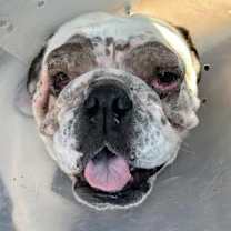 Thumbnail photo of Charlotte Webb #2